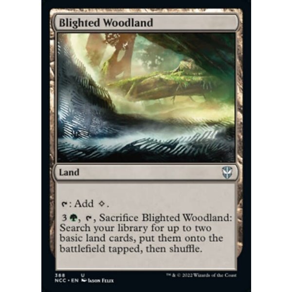 Magic: The Gathering Blighted Woodland (388) Near Mint