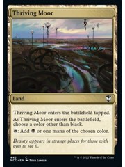 Magic: The Gathering Thriving Moor (442) Near Mint