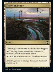Magic: The Gathering Thriving Moor (442) Near Mint