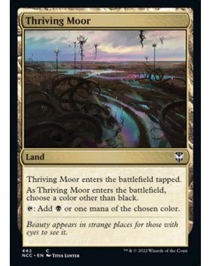 Magic: The Gathering Thriving Moor (442) Near Mint
