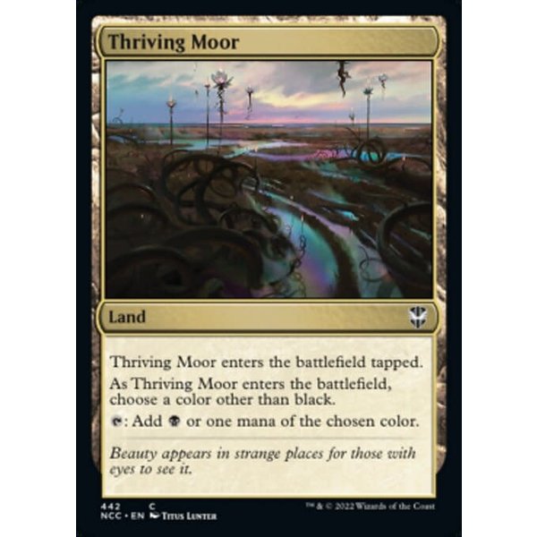 Magic: The Gathering Thriving Moor (442) Near Mint