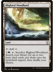 Magic: The Gathering Blighted Woodland (121) Near Mint