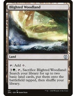 Magic: The Gathering Blighted Woodland (121) Near Mint