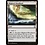 Magic: The Gathering Blighted Woodland (121) Near Mint