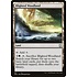 Magic: The Gathering Blighted Woodland (121) Near Mint