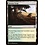 Magic: The Gathering Krosan Verge (134) Near Mint