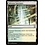 Magic: The Gathering Selesnya Sanctuary (140) Near Mint
