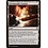 Magic: The Gathering Terramorphic Expanse (142) Near Mint