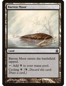 Magic: The Gathering Barren Moor (166) Lightly Played