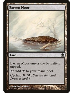 Magic: The Gathering Barren Moor (166) Lightly Played