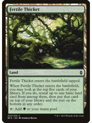 Magic: The Gathering Fertile Thicket (237) Lightly Played Foil