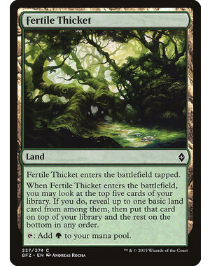 Magic: The Gathering Fertile Thicket (237) Lightly Played Foil