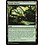 Magic: The Gathering Fertile Thicket (237) Lightly Played Foil