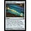 Magic: The Gathering Sphinx-Bone Wand (029) Lightly Played
