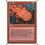 Magic: The Gathering Fireball (192) Lightly Played