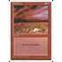 Magic: The Gathering Flashfires (195) Lightly Played