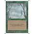 Magic: The Gathering Fog (244) Moderately Played
