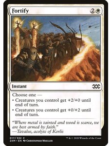 Magic: The Gathering Fortify (017) Near Mint