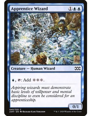 Magic: The Gathering Apprentice Wizard (040) Lightly Played Foil