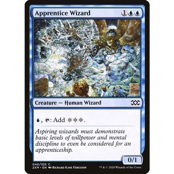 Magic: The Gathering Apprentice Wizard (040) Lightly Played Foil