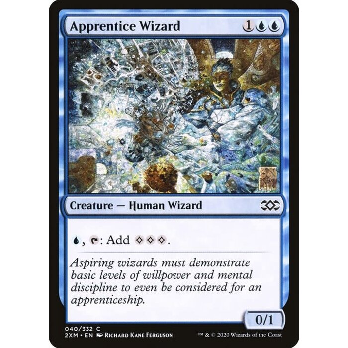 Magic: The Gathering Apprentice Wizard (040) Lightly Played Foil