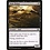 Magic: The Gathering Bone Picker (078) Near Mint Foil