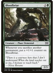 Magic: The Gathering Bloodbriar (154) Near Mint Foil