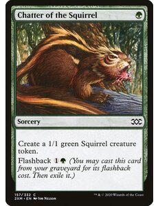 Magic: The Gathering Chatter of the Squirrel (157) Near Mint Foil