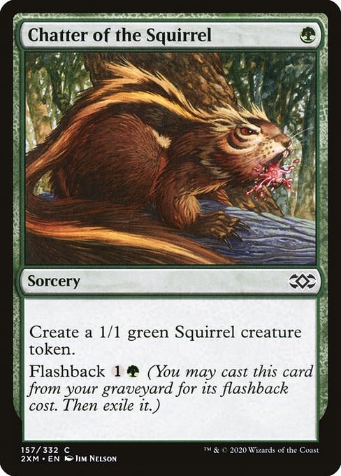 Magic: The Gathering Chatter of the Squirrel (157) Near Mint Foil -  Kingslayer Games