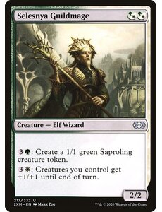 Magic: The Gathering Selesnya Guildmage (217) Near Mint