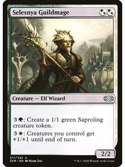 Magic: The Gathering Selesnya Guildmage (217) Near Mint Foil