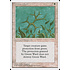 Magic: The Gathering Green Ward (027) Lightly Played