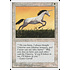 Magic: The Gathering Pearled Unicorn (039) Lightly Played