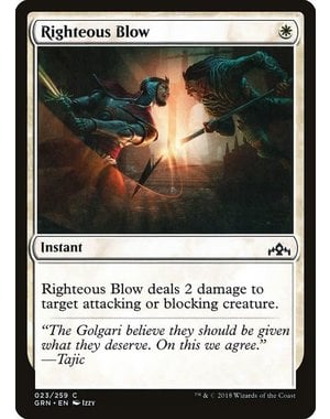 Magic: The Gathering Righteous Blow (023) Lightly Played