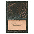Magic: The Gathering Evil Presence (136) Lightly Played