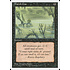 Magic: The Gathering Marsh Gas (146) Lightly Played
