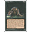 Magic: The Gathering Plague Rats (154) Lightly Played