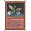 Magic: The Gathering Dragon Whelp (186) Lightly Played