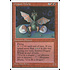 Magic: The Gathering Dragon Whelp (186) Lightly Played