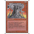 Magic: The Gathering Wall of Dust (229) Lightly Played