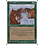 Magic: The Gathering Durkwood Boars (241) Lightly Played