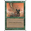 Magic: The Gathering Desert Twister (240) Moderately Played