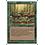 Magic: The Gathering Elven Riders (242) Lightly Played