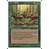 Magic: The Gathering Elven Riders (242) Lightly Played