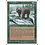 Magic: The Gathering Grizzly Bears (250) Lightly Played