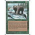 Magic: The Gathering Grizzly Bears (250) Lightly Played