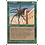 Magic: The Gathering Giant Spider (249) Lightly Played