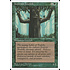 Magic: The Gathering Ironroot Treefolk (253) Lightly Played