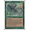 Magic: The Gathering Land Leeches (255) Lightly Played