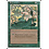 Magic: The Gathering Regeneration (268) Lightly Played